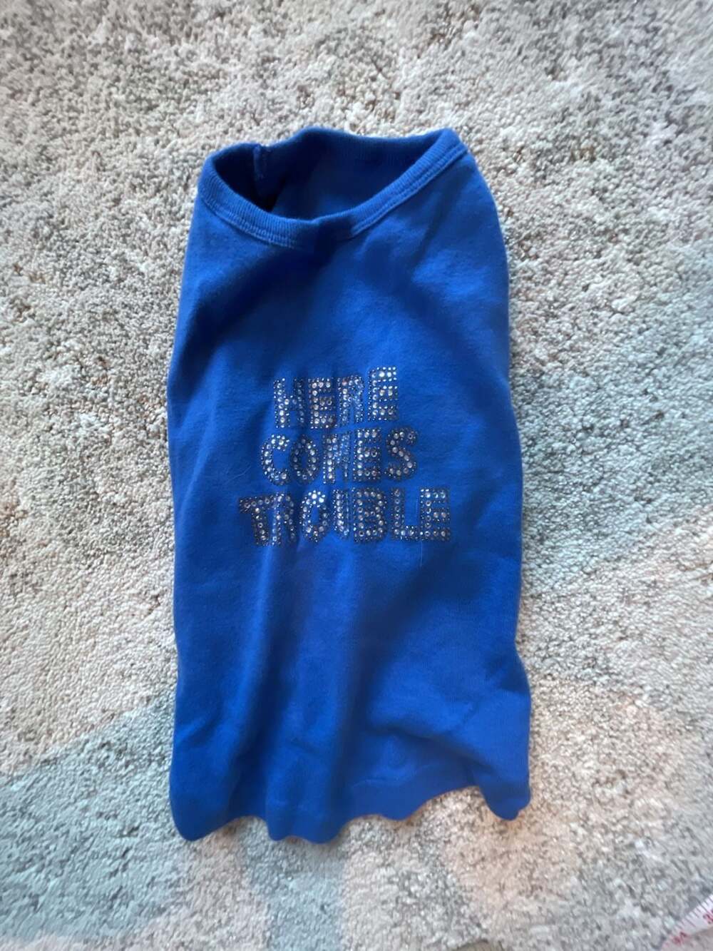 Dog in the Closet Here Comes Trouble Rhinestone Dog Tank Top Blue XL